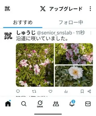 Xの画像をポスト