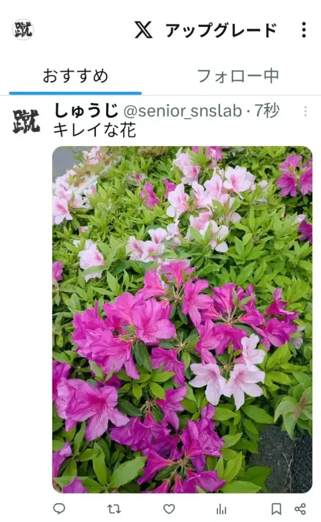 Xの画像をポスト