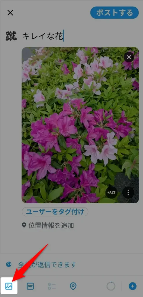 Xの画像をポスト